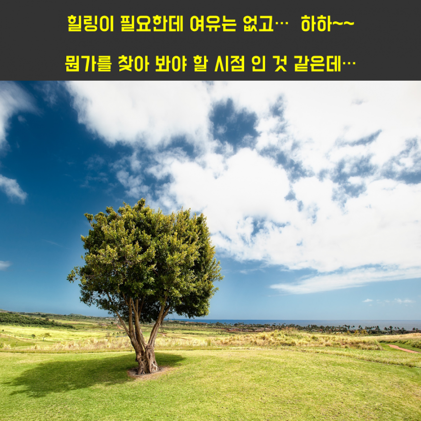2d99f010773c7601293152dce65da482_1547710
